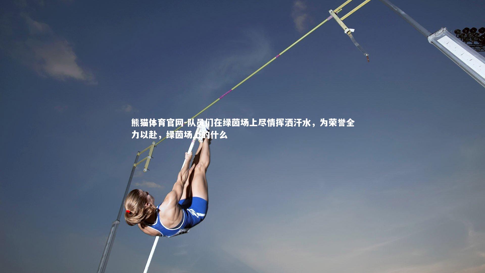 队员们在绿茵场上尽情挥洒汗水，为荣誉全力以赴，绿茵场上的什么