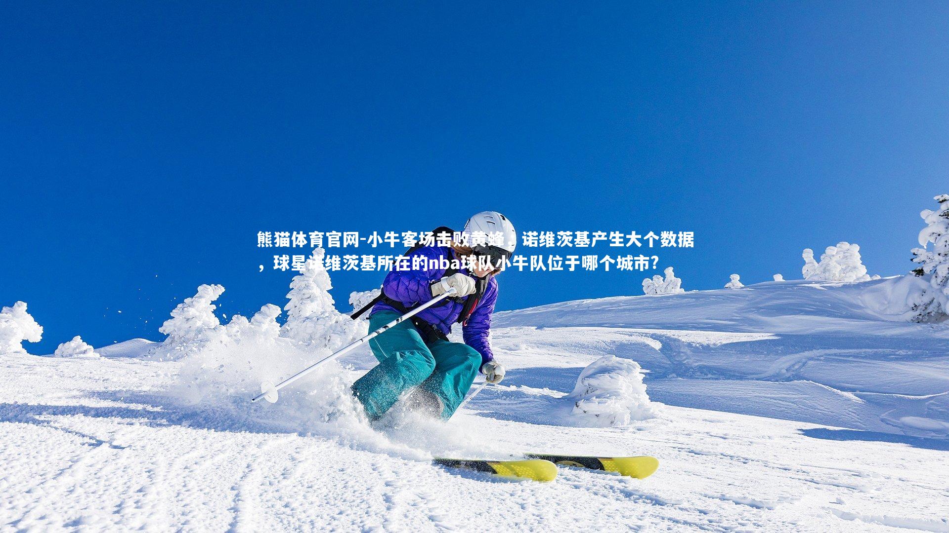 小牛客场击败黄蜂，诺维茨基产生大个数据，球星诺维茨基所在的nba球队小牛队位于哪个城市?